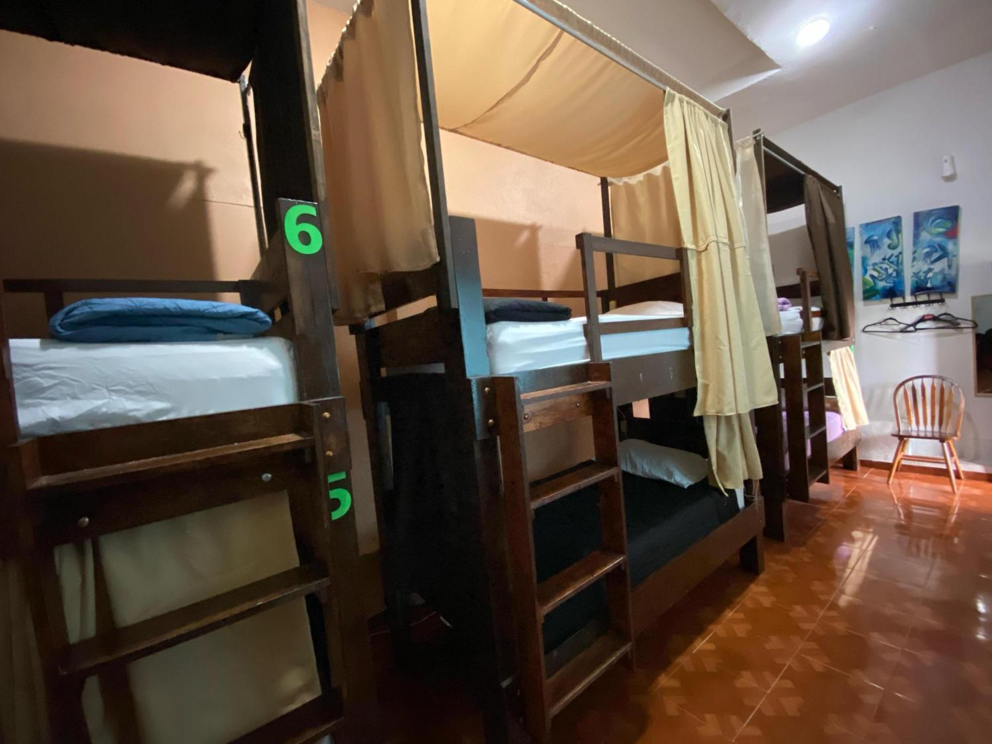 My Family In Monterrey - Hostel Ngoại thất bức ảnh